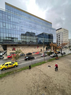 Propriete Nine - Palas, city center, business area